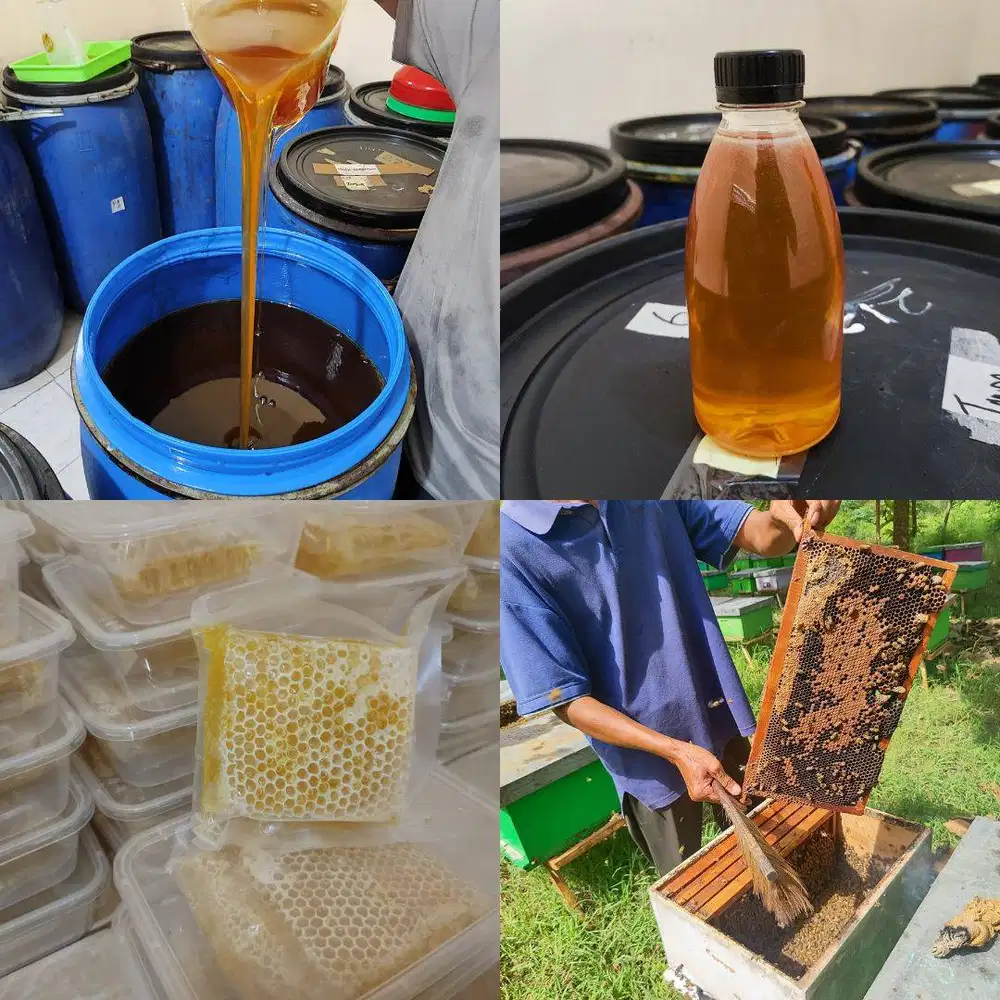 AGEN JUAL MADU LAMONGAN ASLI MURNI, Grosir Murah