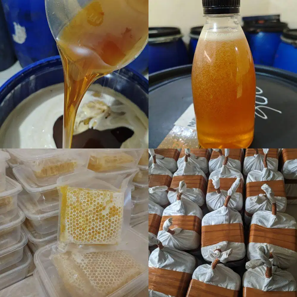 AGEN JUAL MADU BOJONEGORO ASLI MURNI, Grosir Murah