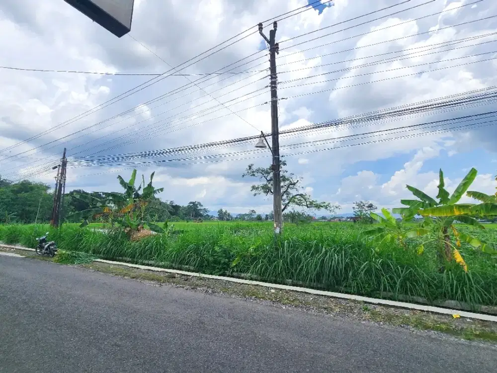 Tanah Sleman Cocok Usaha, Mangku Jalan Aspal