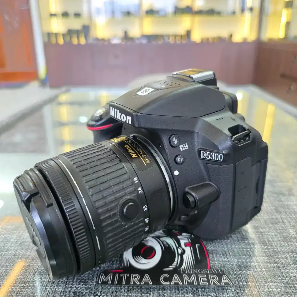 NIKON D5300 sc 10rb Like New