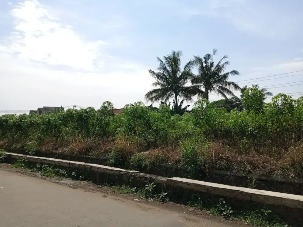 Kavling Strategis Dekat Stasiun Cilebut, Pinggir Jalan Legalitas SHM