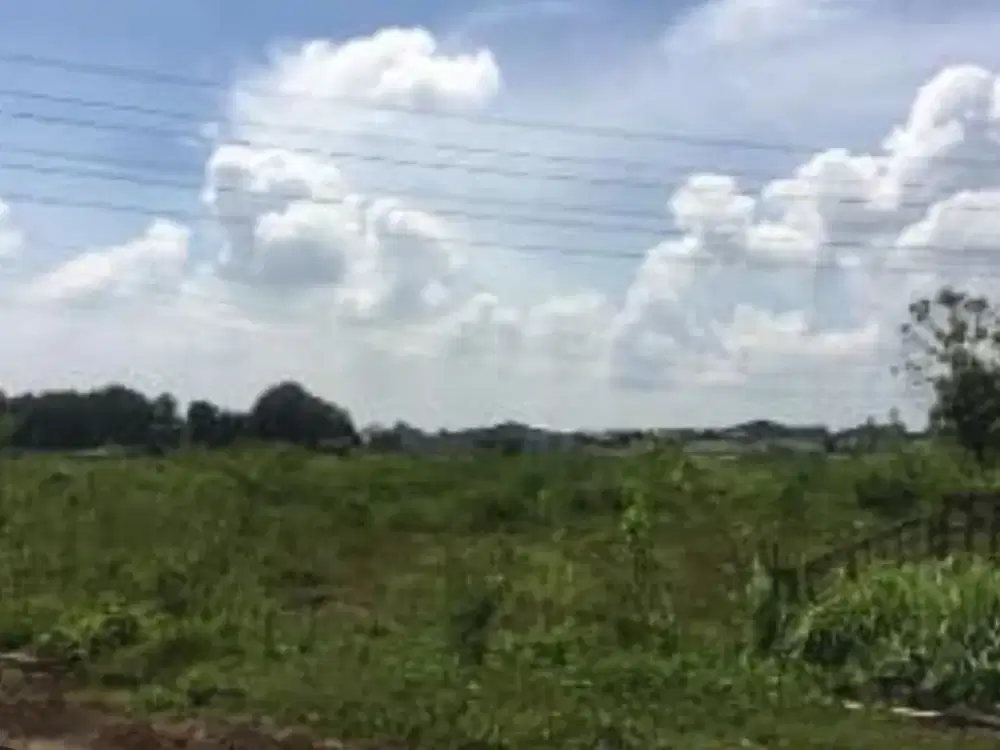 Termurah ! Dijual Tanah Raya Banyu Urip