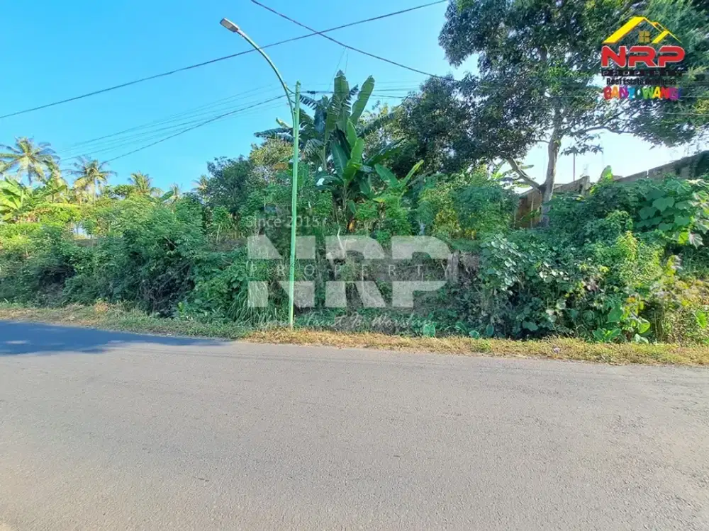 Tanah dijual di Kelir kalipuro Banyuwangi cocok untuk bangun Gudang