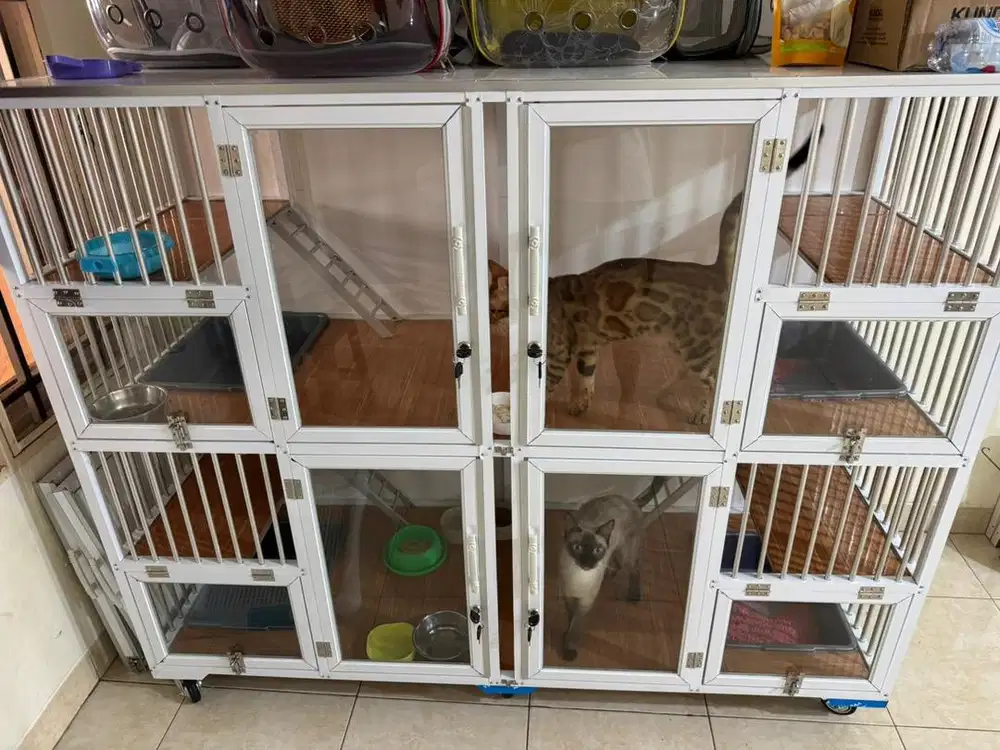 kandang kucing 4 pintu besar