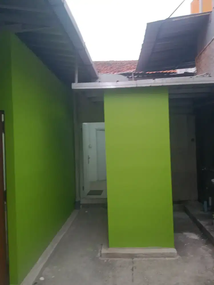 jasa tukang cat