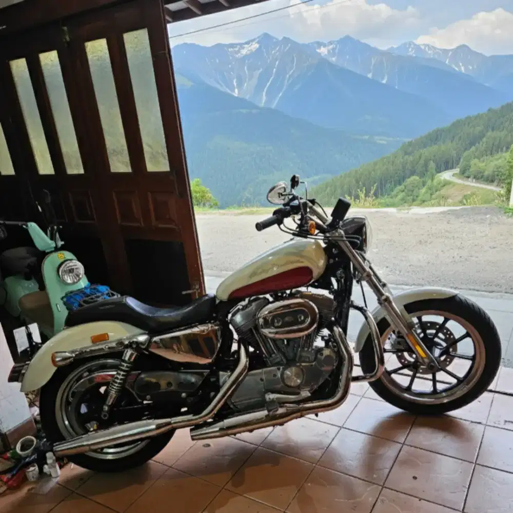MABUA full paper Sportster 883 superlow Harley Davidson 1200 iron 48