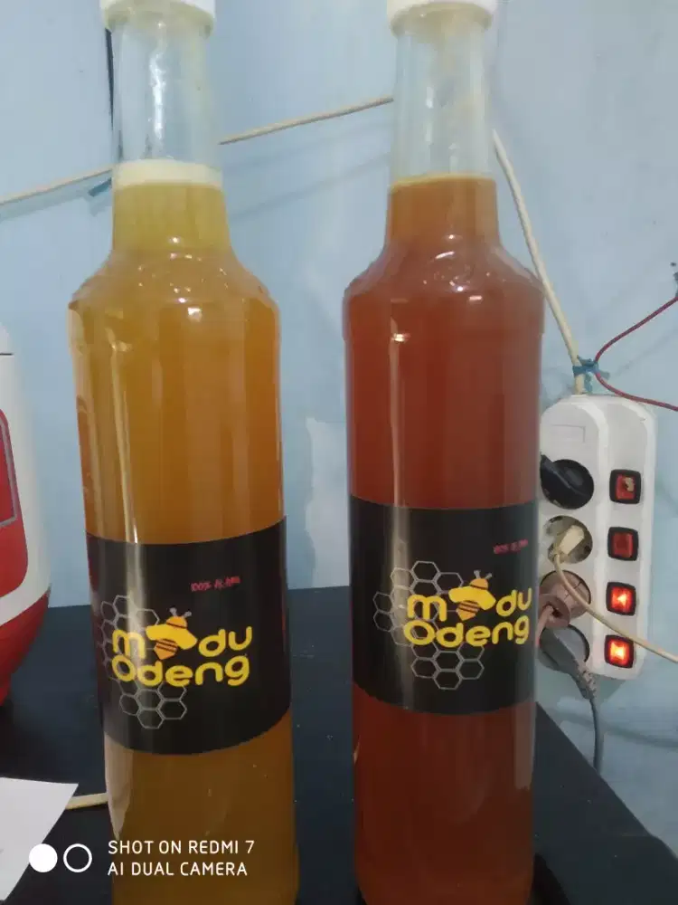 Madu asli%Dari hutan
