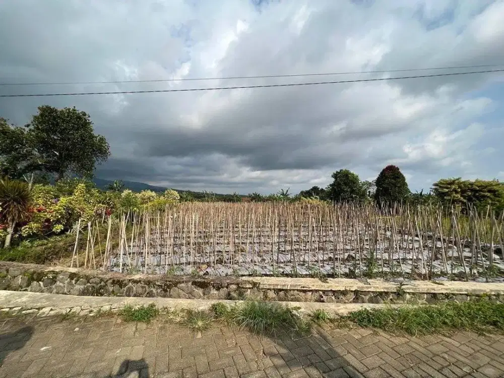 dijual tanah untuk villa kebun kota batu