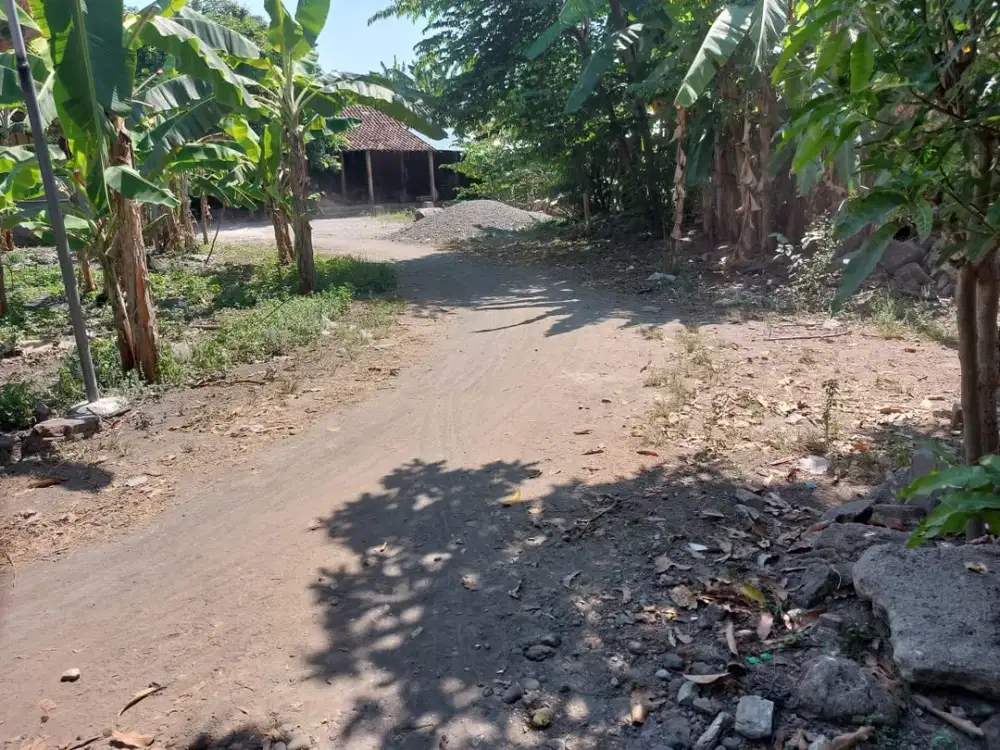 Tanah Pekarangan Bagus Murah di Sewon Bantul #Kode : TP 137