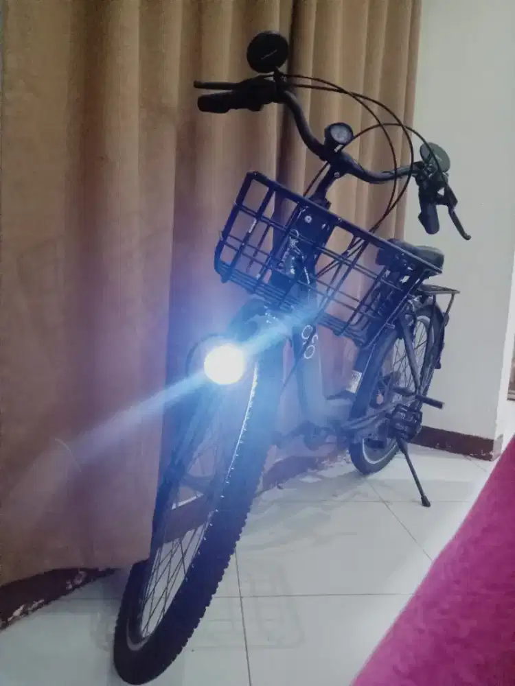 Sepeda ofo-pasific amricano