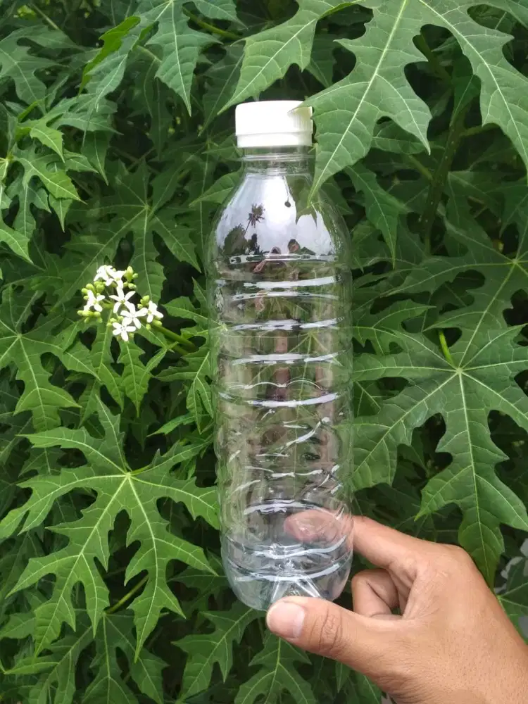 Botol 600 ML Baru MW