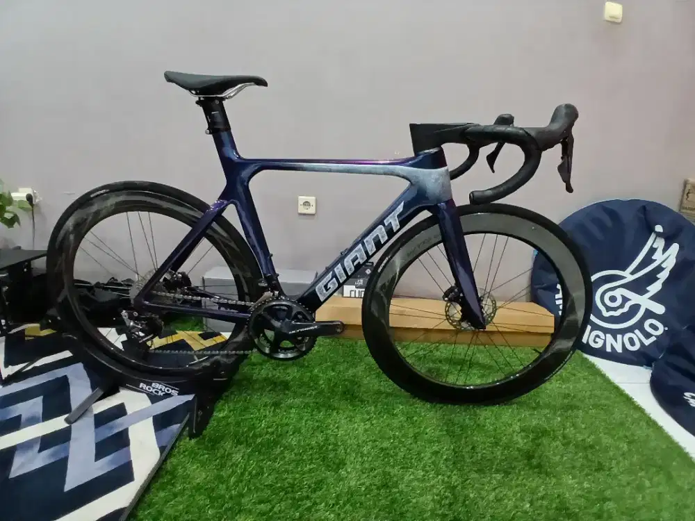 ROADBIKE GIANT PROPEL ADV SL 0 2022 REPAINT PURPLE DRAGONFLY 2024