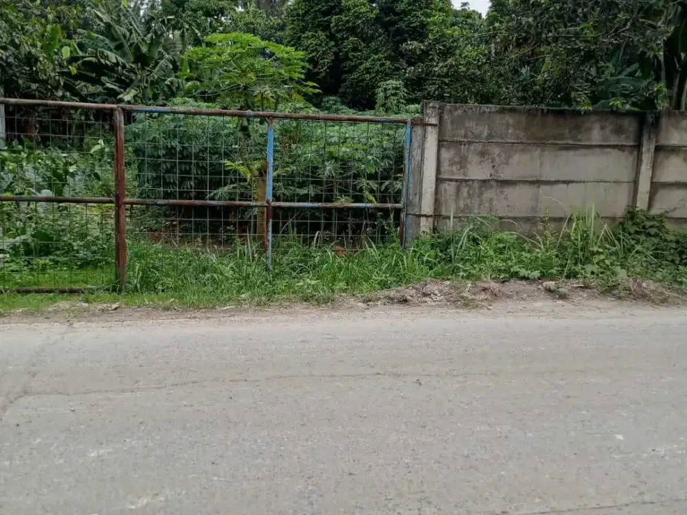 Jual Tanah Lt.2470 di Jln. Raya Gn. Maloko Cisauk Tangerang Liu