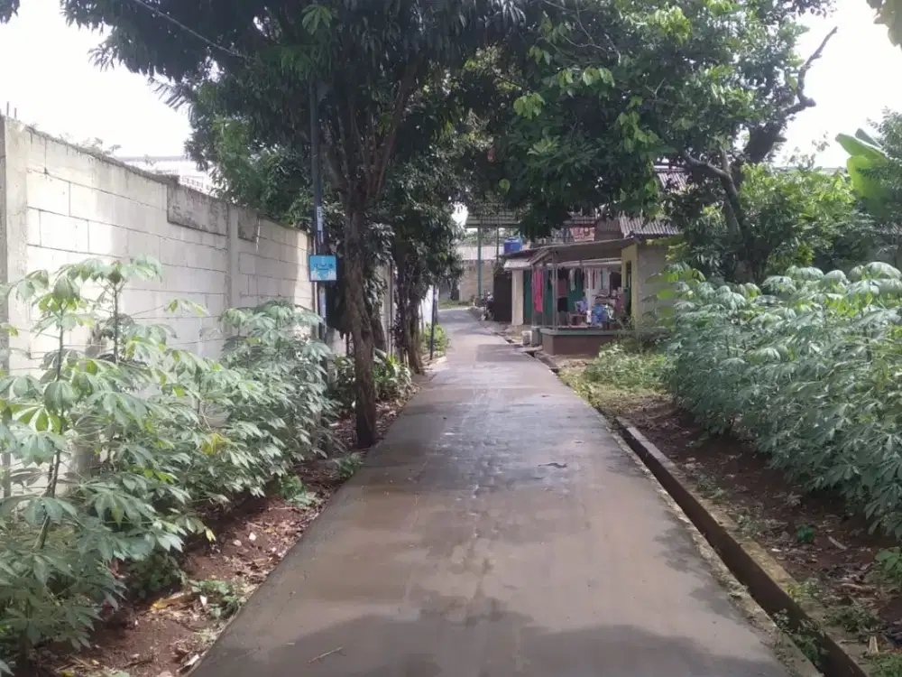 Kavling Murah 7 Menit Kampus Unpam Free SHM