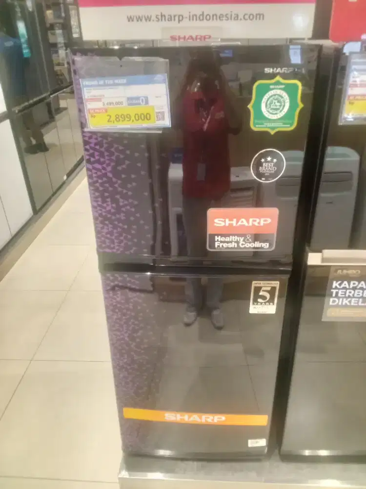 kulkas Sharp refrigerator 2 pintu