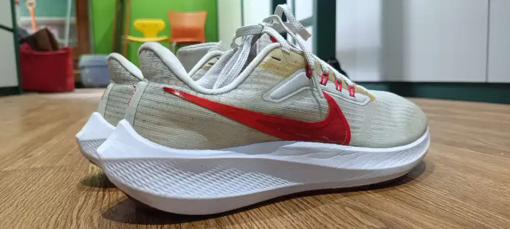 Nike air zoom Pegasus 39