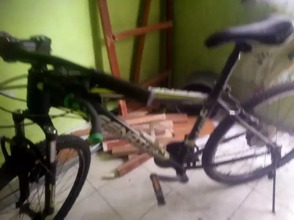 Sepeda senator buat  dewasa dan anak2ring 26