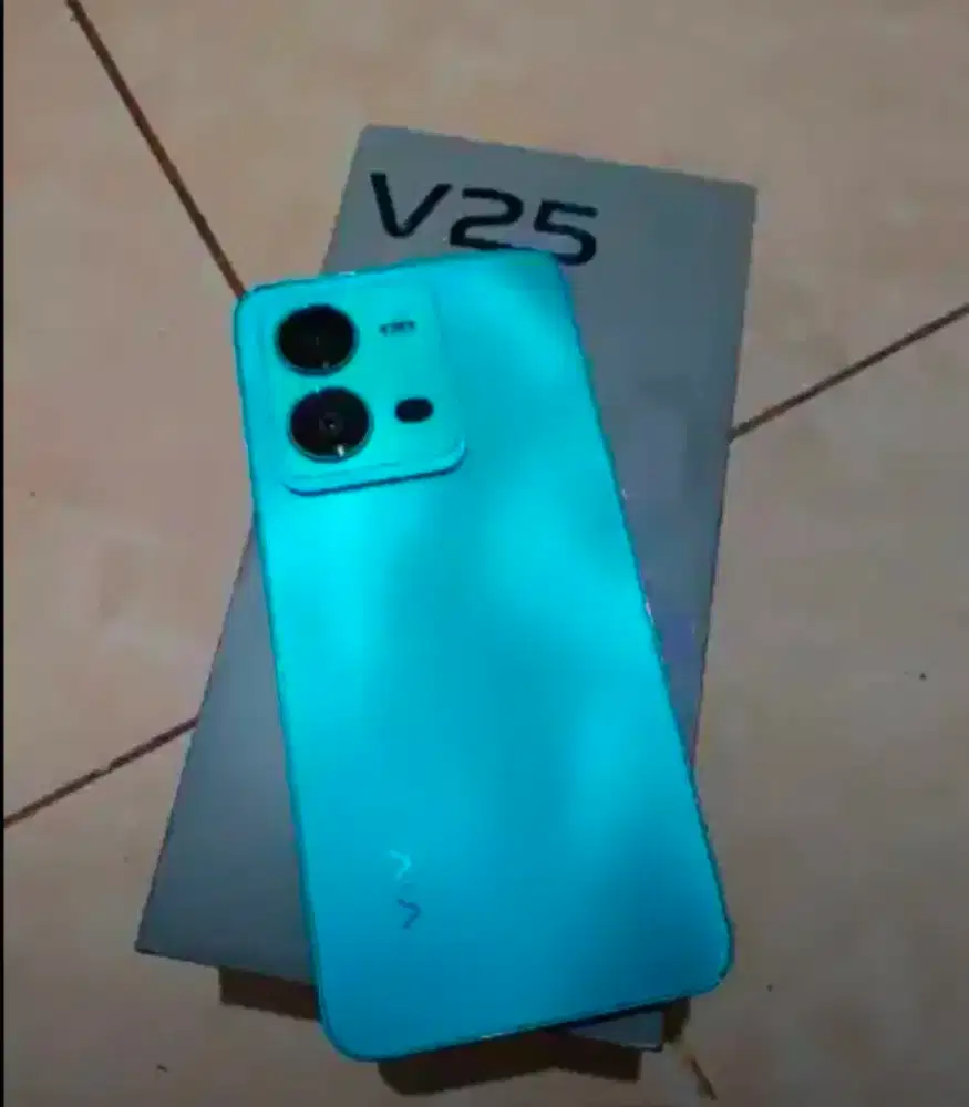 Vivo V25 5G 8/256