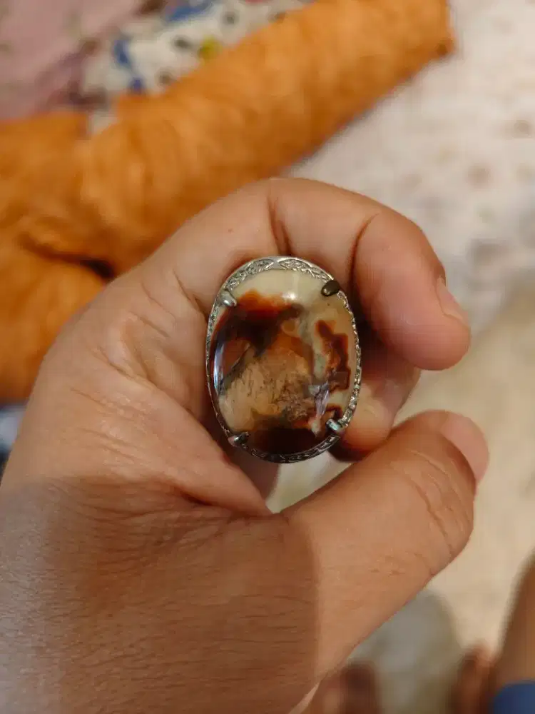 Salah Satu Cincin Akik Garut Pancawarna