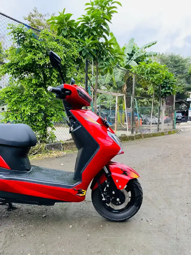 Molis greentech rangger tahun 2024