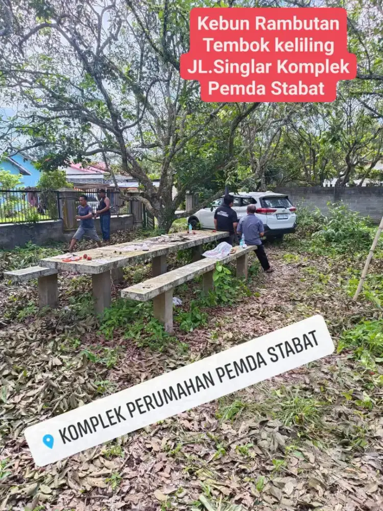 Dijual Cepat Murah Tanah Darat Kebun Rambutan Jl.Singlar komplek pemda
