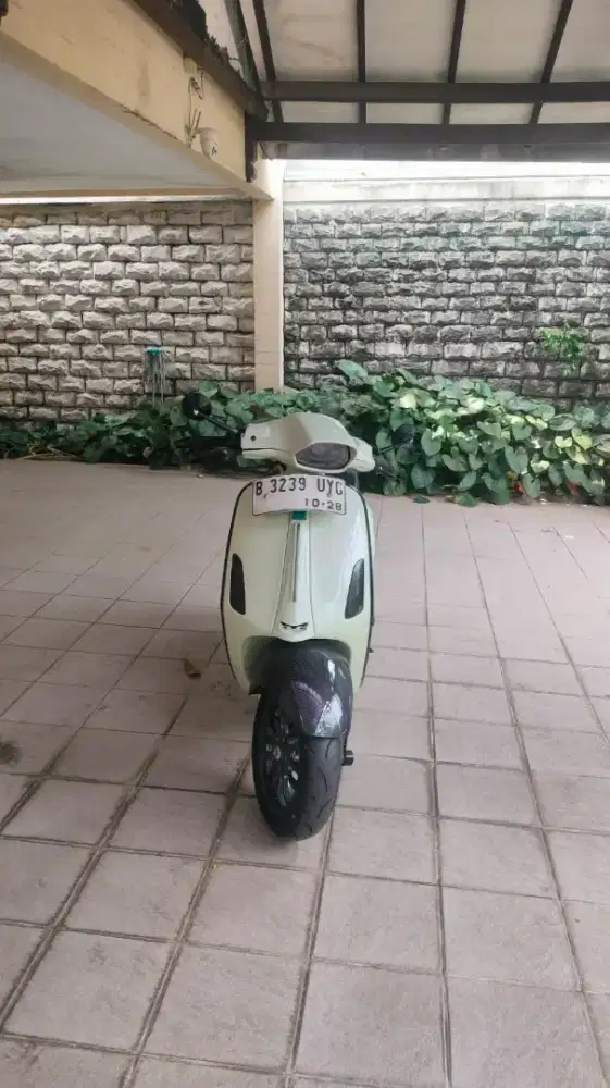 Piaggio primavera sudah iget bisa tuker barang lain apa aja asal suka