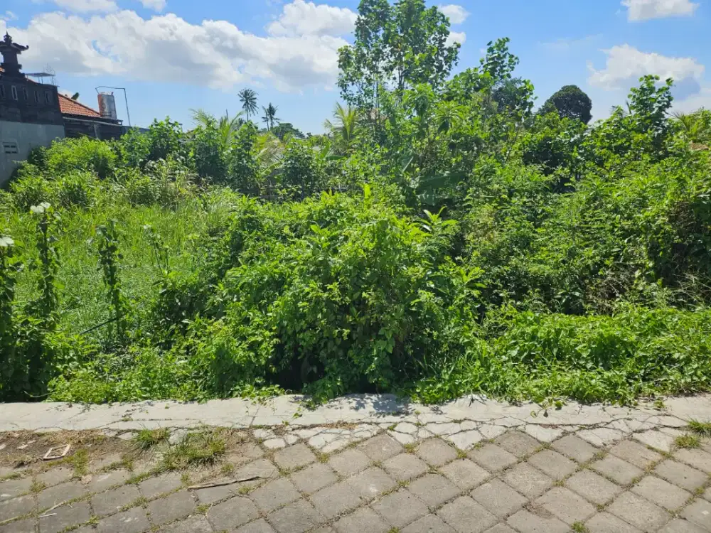 Di jual tanah lokasi Abianbase, Badung , Bali