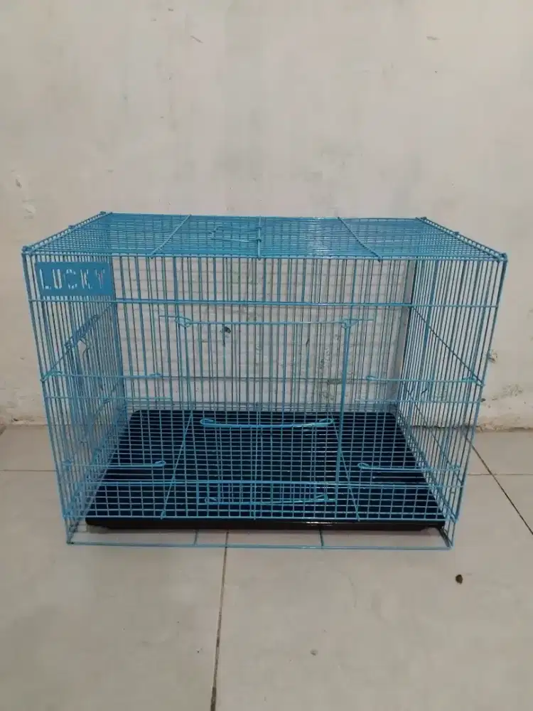 Kandang Kelinci_kucing