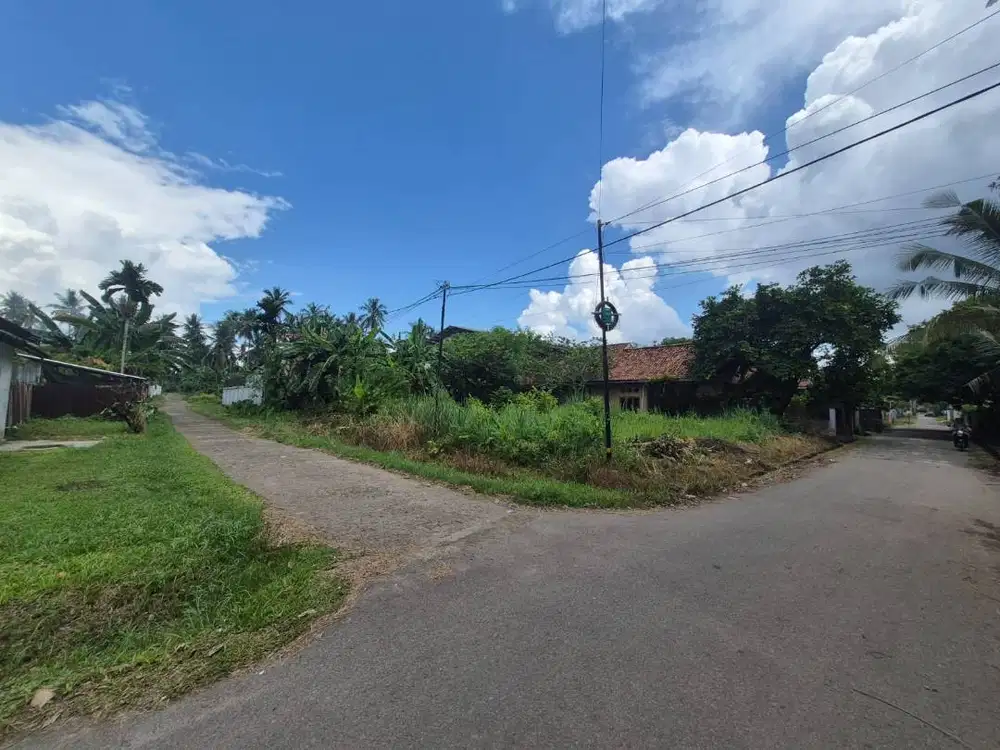 Tanah Murah Tanjung Lumut Selincah Kota Jambi