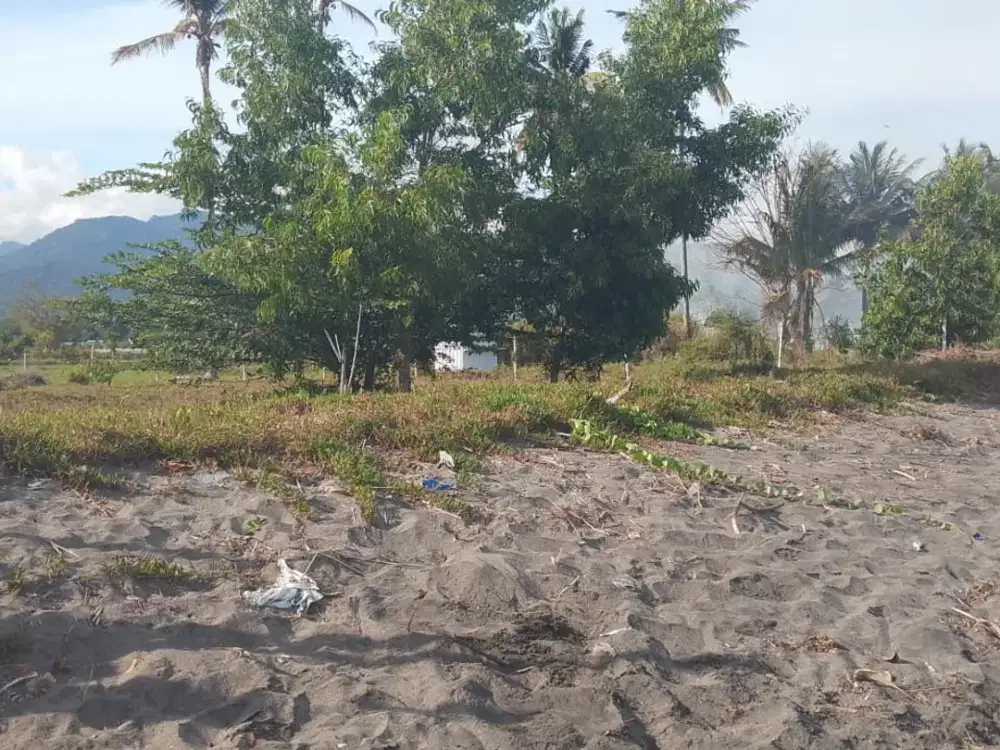 Tanah pinggir pantai dekat pelabuhan Bangsal