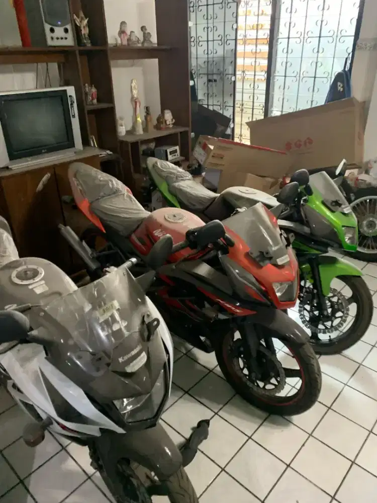 Kawasaki ninja 150RR.