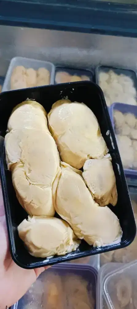 Durian NIAS Legit Manis