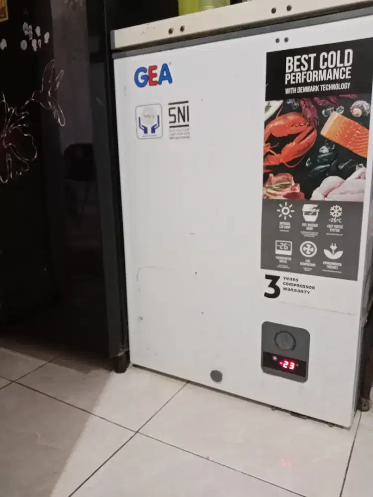 Freezee gea 100 liter
