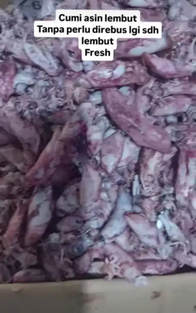 Cumi Asin Lembut Kalimantan