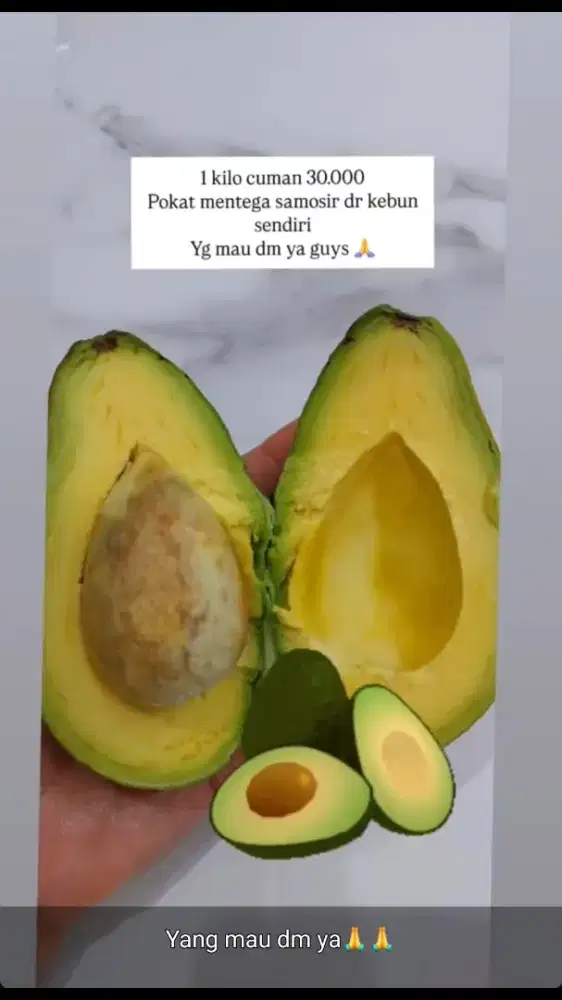 Pokat samosir pilihan