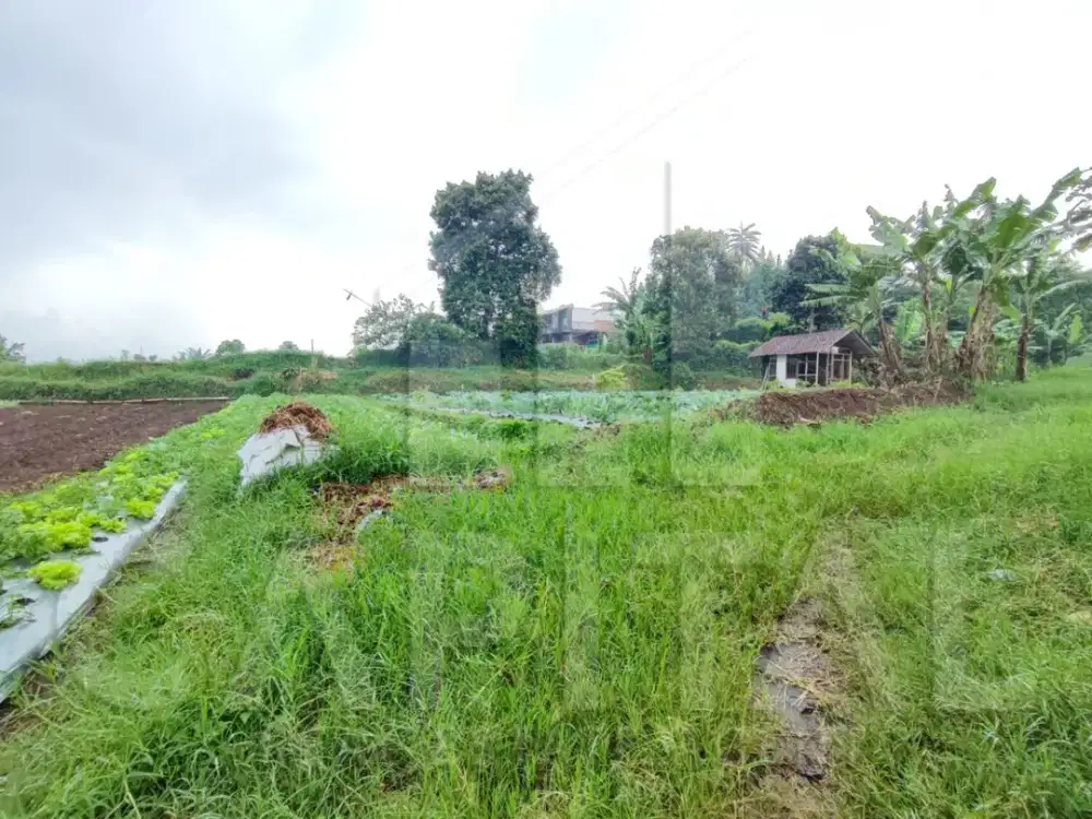 TURUN HARGA ! MURAH DI BAWAH PASAR ! TANAH di Kawasan Sejuk Sayap Setiabudi Regency – Bandung