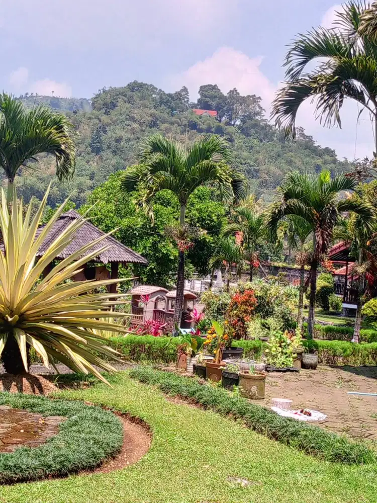 Dijual Tanah Strategis dan Asri ada Kolam Renang, Puncak - Cipanas