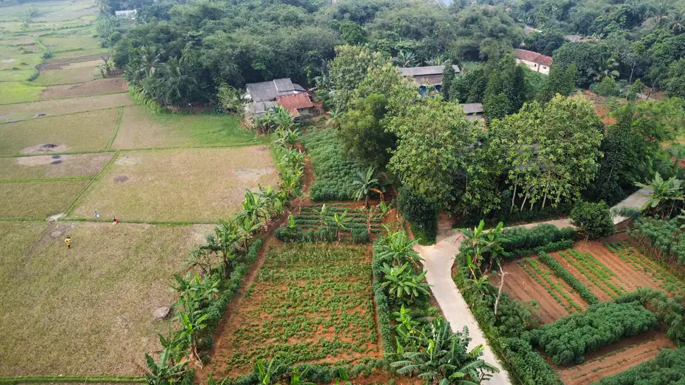 Jual Tanah Kavling Tigaraksa