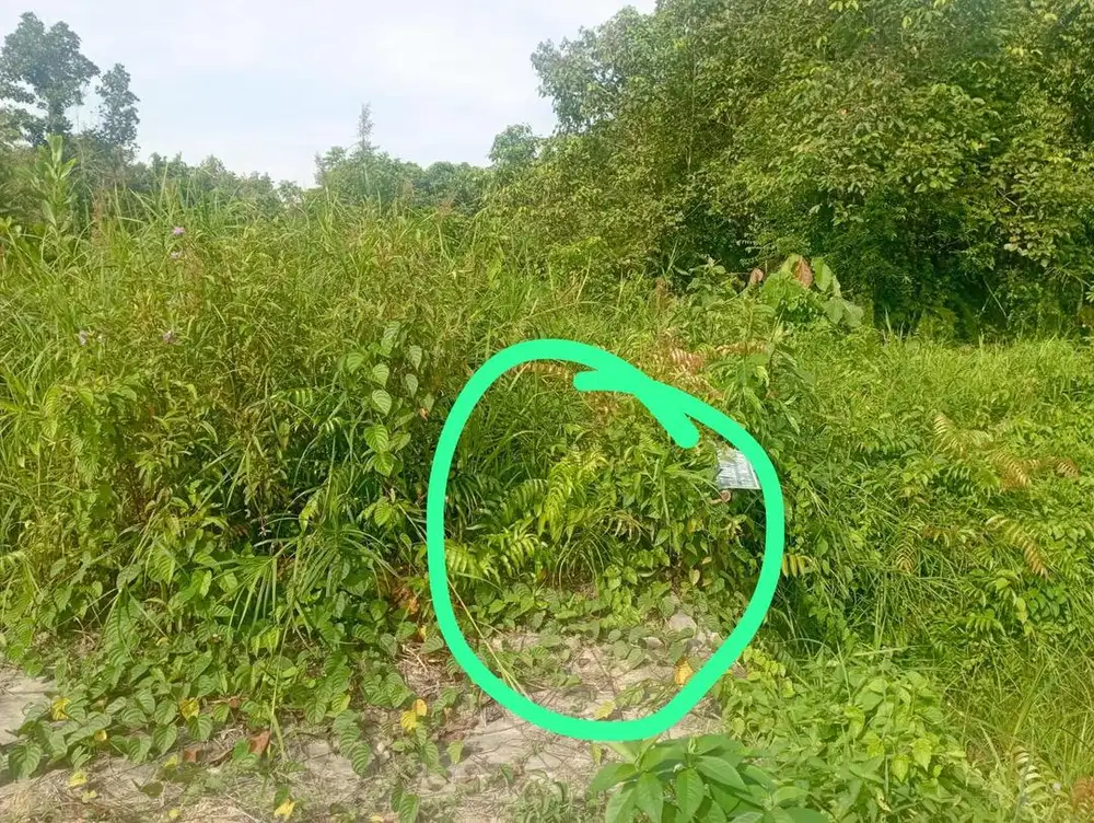 Dijual Cepat Tanah SHM 376m2