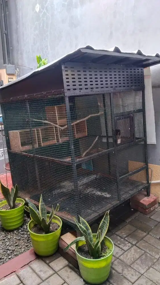 jual kandang aviary
