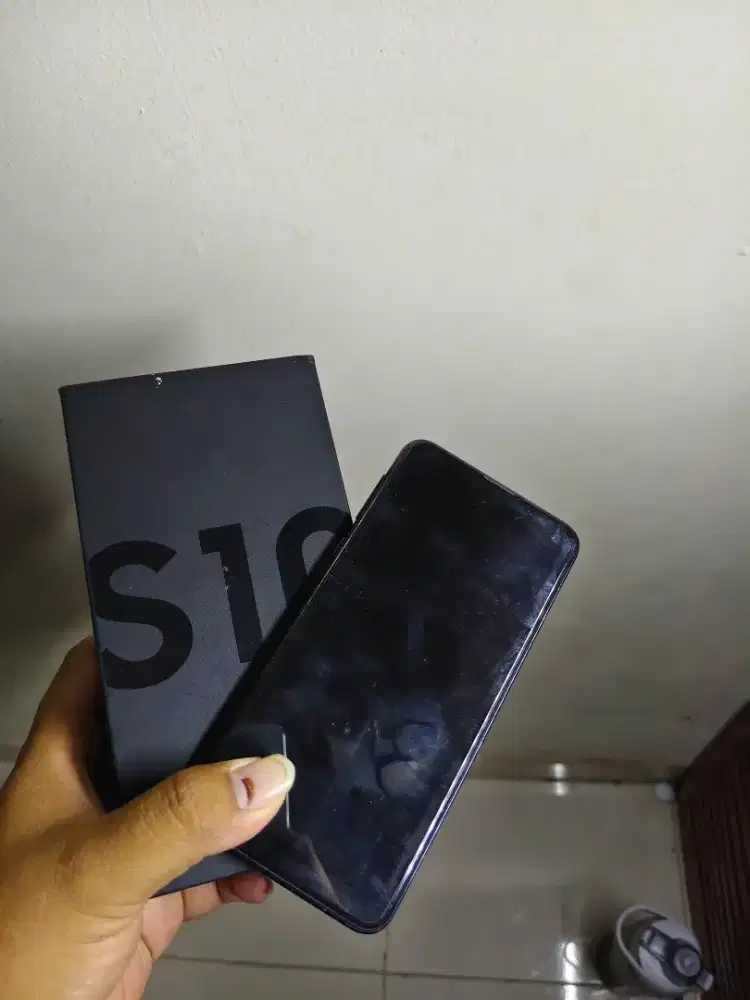 Samsung S10e 6/128 Ex Inter