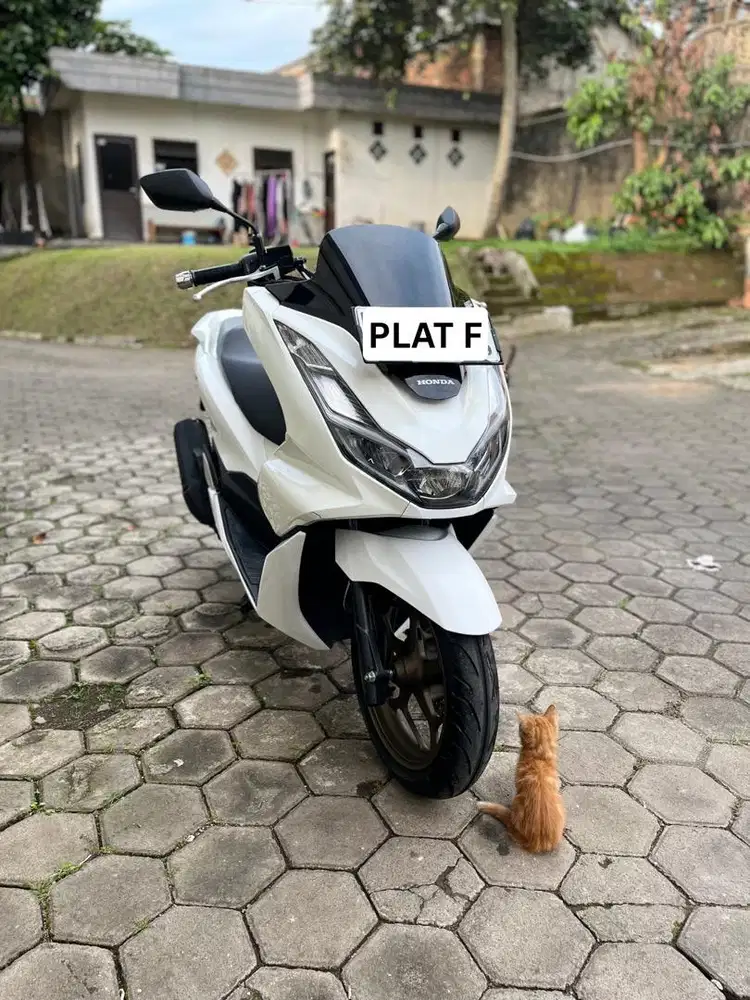 Honda PCX 160 2024 Putih