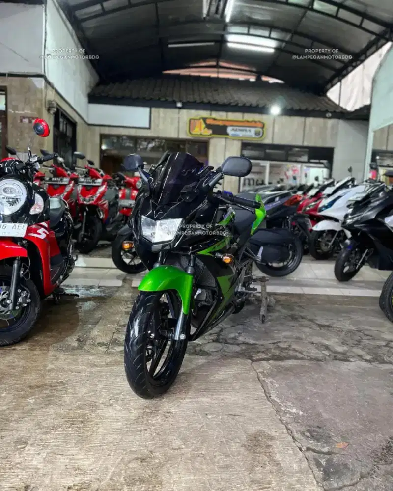 Kawasaki New Ninja 150 RR 2014