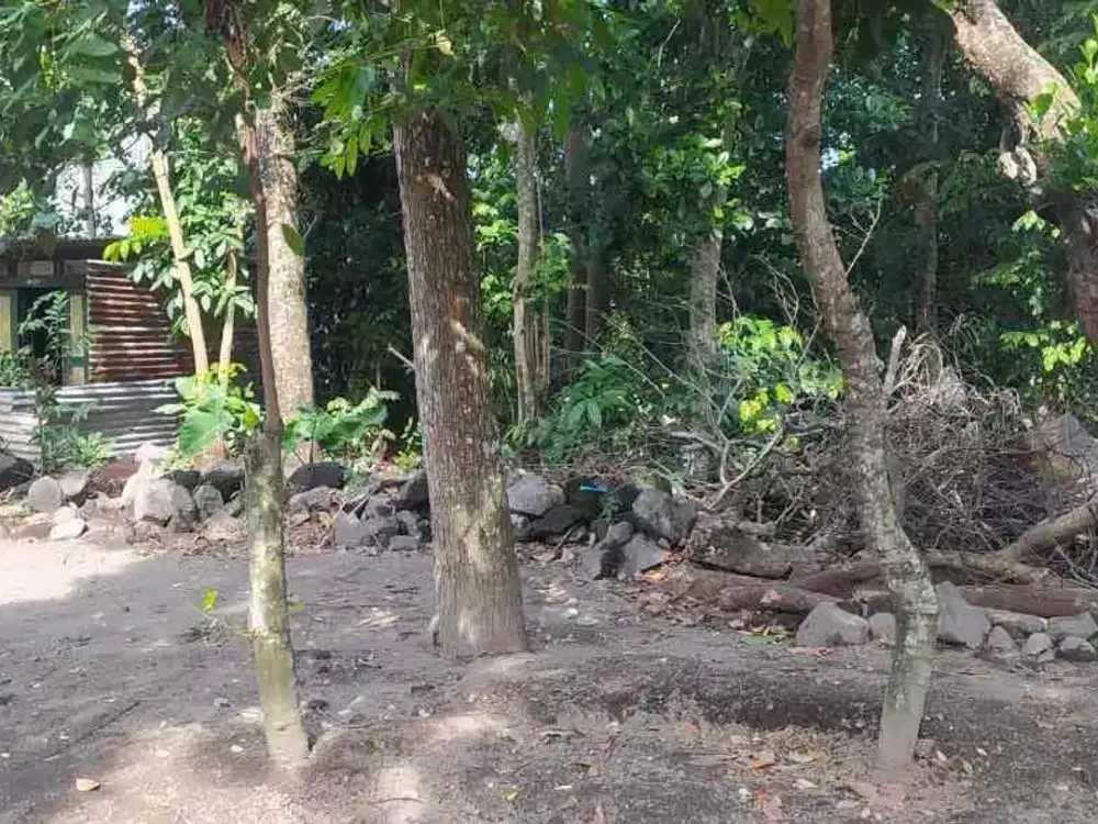 Dijual Tanah Pekarangan Strategis di Kadisoka Kalasan