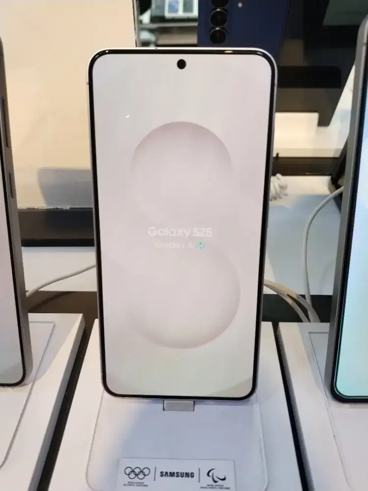 Samsung Galaxy S25 256GB