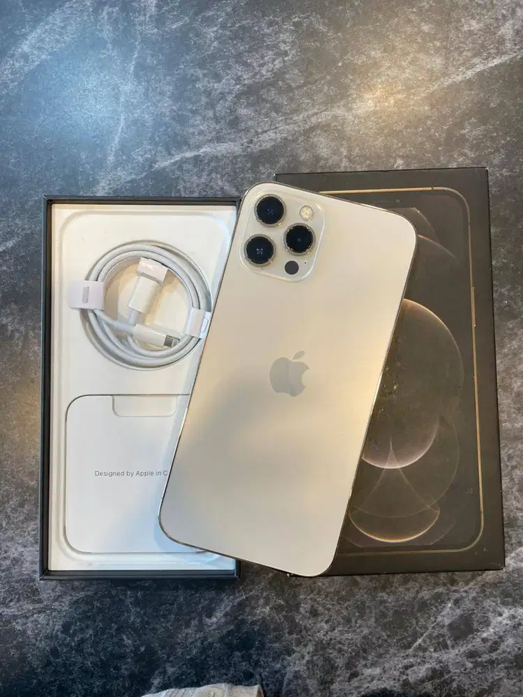 IPHONE 12 PRO MAX 128 GB Beacukai