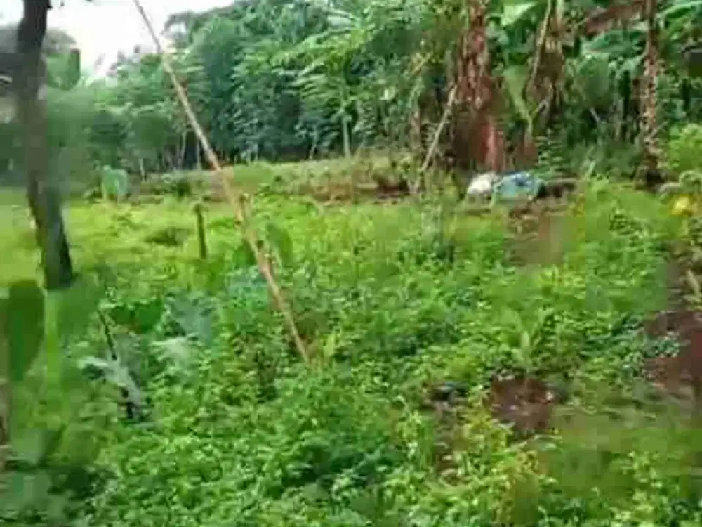 jual tanah murah LT 2500m2, ajb, nempel jalan desa