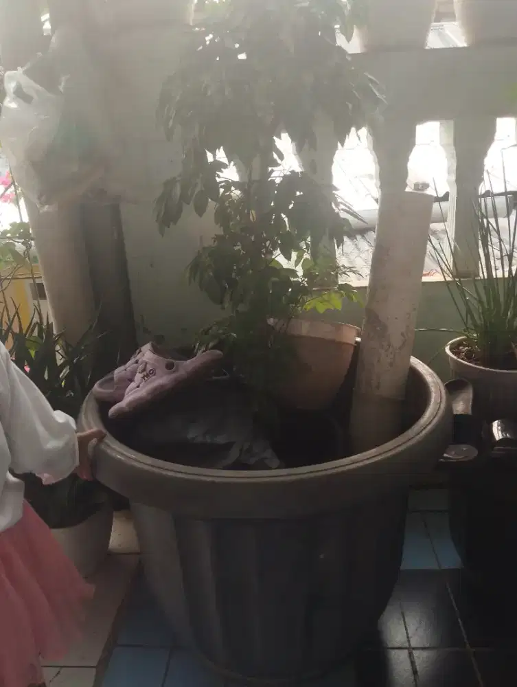 Pot tanaman ukuran jumbo