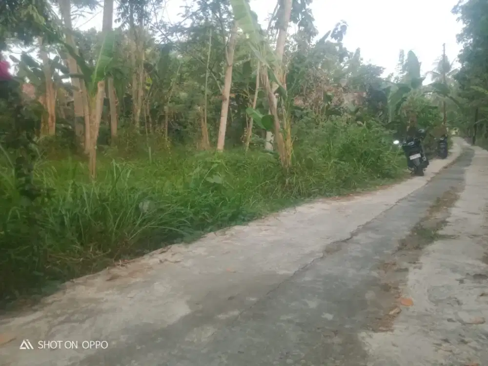 Tanah Pekarangan Murah di Belakang Kampus UMY Yogyakarta #Kode : TP 140