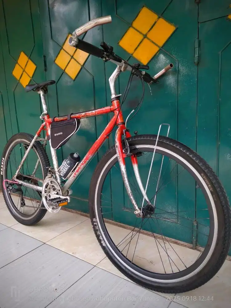 Sepeda fedral ori